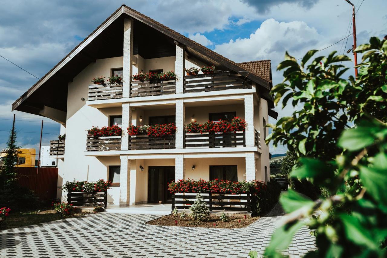 Pensiunea Romana Onesti Exterior foto