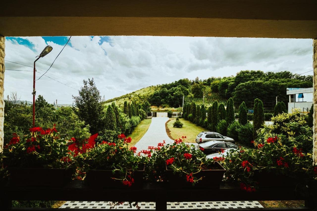 Pensiunea Romana Onesti Exterior foto