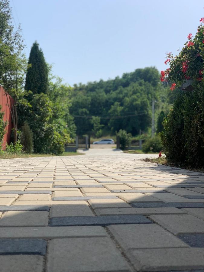Pensiunea Romana Onesti Exterior foto